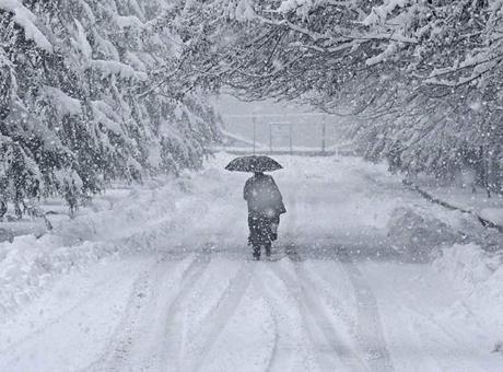 Japonya'da Şiddetli Kar Felaketi: Can Kaybı 27'ye Yükseldi