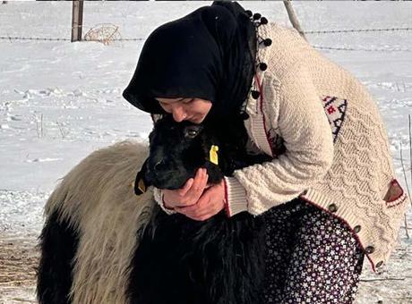 Van’da Yürekleri Isıtan Bir Hikaye: Esmer Kız ile Karakız’ın Arkadaşlığı