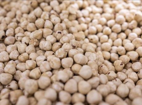 Doğu Karadeniz İhracatı 125,5 Milyon Doları Geçti: İstatistikler ve Sektör Bazında Dağılımlar