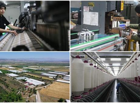 Depremden Etkilenen İllerde İhracatta Olumlu Gelişmeler Gözlemleniyor