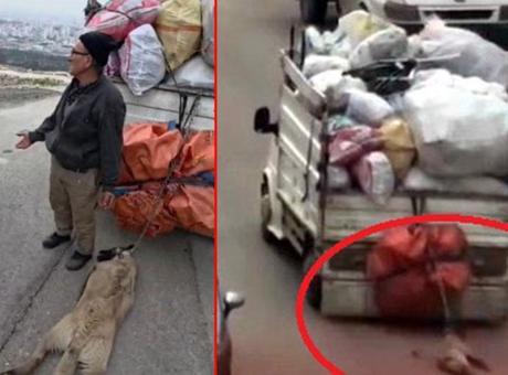 Ankara'da Hayvanseverlerin Tepkisini Çeken İşkence Olayı: Sürüklenen Köpek Kurtarıldı
