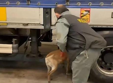 Edirne'de 240 Kilogram Uyuşturucu Madde Ele Geçirildi