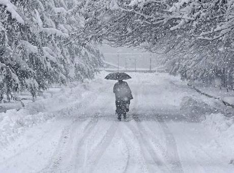 Japonya'daki Kar Felaketi: Can Kaybı 46'ya Yükseldi