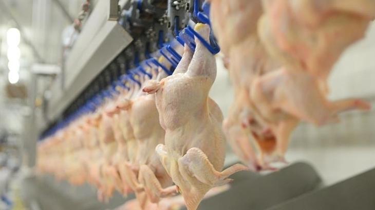 Tavuk Ürünleri İhracatı Fiyat Artışları Nedeniyle Durduruluyor