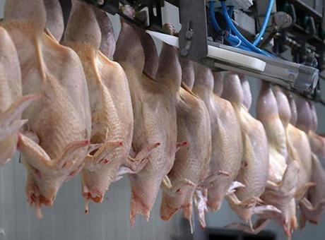 Ticaret Bakanlığı, Kanatlı Eti İhracatını Durdurdu: Piyasa Denetimleri Sıkılaştırıldı