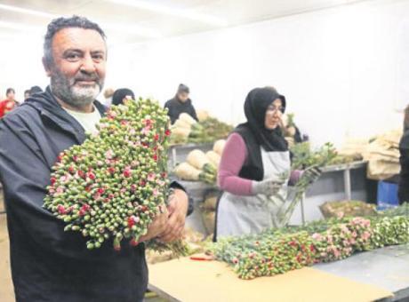 Sevgililer Günü İçin 75 Milyon Dal Çiçek Avrupa'ya İletildi