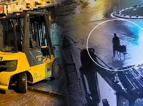 Forkliftle Kuyumcu Soyan Zanlı, Altınları Eşeğiyle Kaçarken Sakladığı Yeri Açıkladı