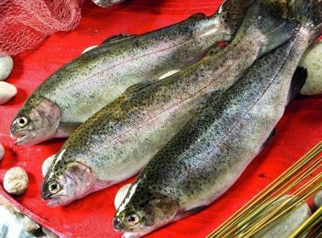 Türk Somonu İhracatında Ocak Ayında Rekor Artış