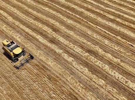 Tarım ve Esnaf Kredilerine Yönelik Yeni Düzenlemeler Başladı: 300 Bin TL Detayı