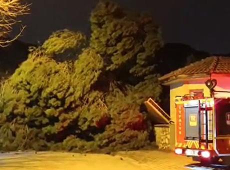 Manisa'da Şiddetli Fırtına Yaşamı Olumsuz Etkiledi: Minareler ve Ağaçlar Devrildi