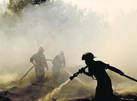 Orman Yangınlarına Karşı Yeni Önlemler Alınıyor