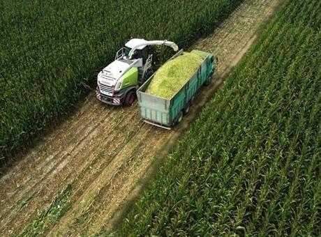 Tarım Ürünleri ÜFE'si Ocakta Yüzde 8,46 Arttı: Yıllık Artış Yüzde 43,58