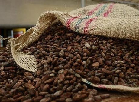 Türkiye Kakao İhracatında Rekor Kırarak 1,7 Milyar Dolar Kazandı