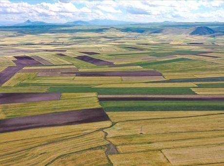 2025'te Gayrimenkul Satışları 1,6 Milyonu Aştı: Rekor Artışlar Devam Ediyor