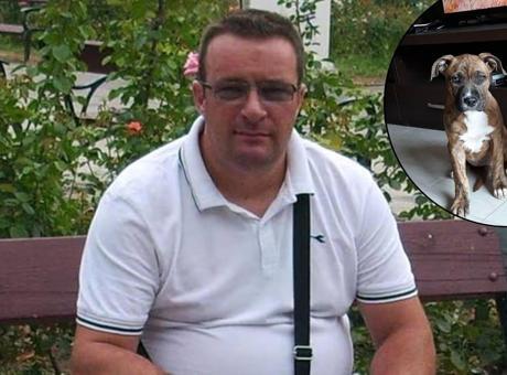 İtalya'da Dehşet: 52 Yaşındaki Adam, Üç Köpeği Tarafından Yendi!