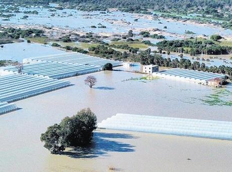 Sel Felaketi Tarım Alanlarını Vurdu: Buğday ve Arpa Zarar Gördü
