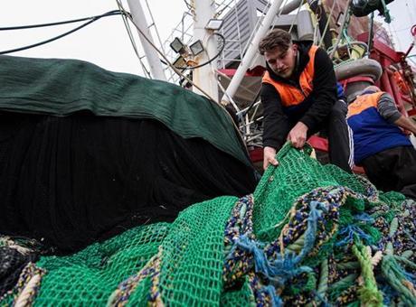 Egeli Balıkçılar, Hava Koşullarına Rağmen Ümitli: Sezonun Geri Kısmına Hazırlar