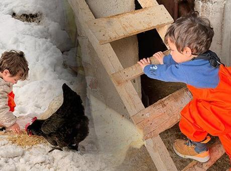 Köyde Doğayla Büyüyen Güneş: Teknolojiden Uzak, Doğal Bir Yaşam