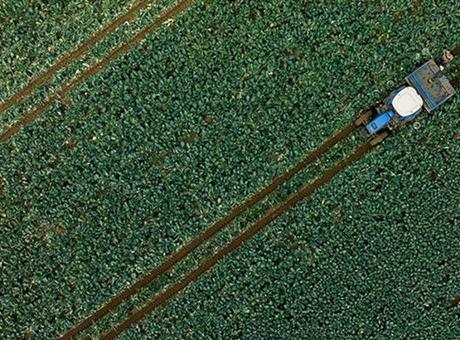 Artan Yağışlar Türkiye'nin Tarımsal Üretimini Güçlendiriyor