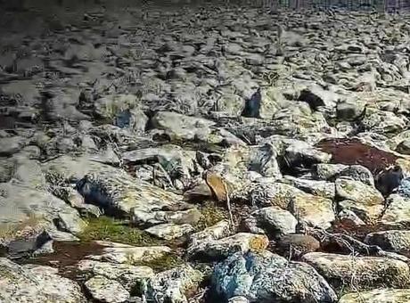 Şanlıurfa'da Baskın: Kırsal Alanlarda Silah ve Mühimmat Deposu Bulundu