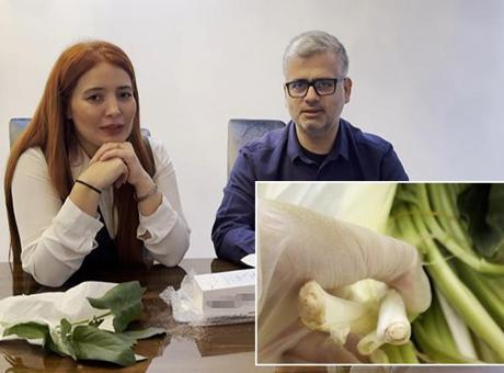 Mersin'de Pazardan Alınan Ot, Zehirli Çıktı: Doktor Eşi Hayatını Korkunç Bir Deneyimle Kurtardı