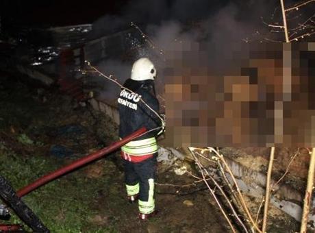 Ordu'da Korkunç Yangın: 27 Büyükbaş Hayvan Telef Oldu