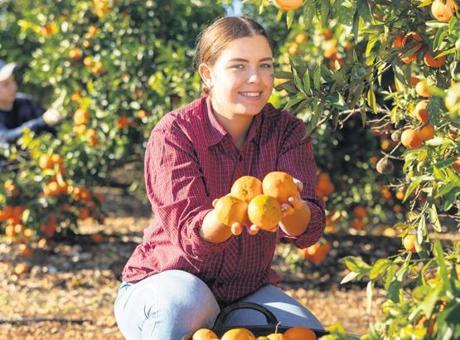 Yeni Veriler: Türkiye'de Çiftçi Sayısı Beş Yılda 190 Bin Artış Gösterdi