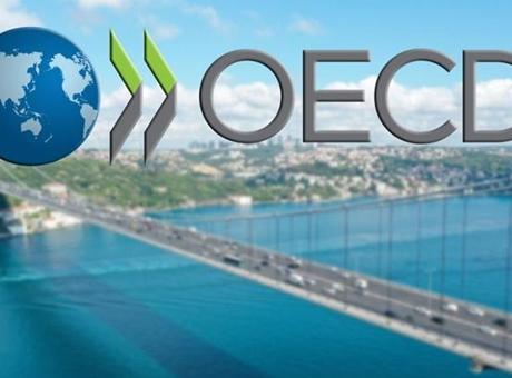 Türkiye, OECD'nin En Hızlı Büyüyen Üçüncü Ekonomisi Olmayı Başardı