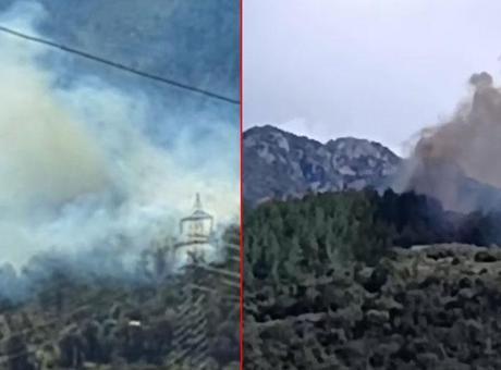 Osmaniye'de Orman Yangını: Ekipler Hızla Olay Yerinde