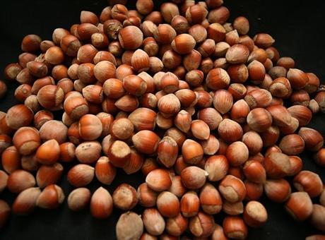 Trabzon Fındık İhracatında Rekor: 60,6 Milyon Doları Aştı