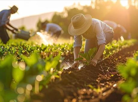 Üre İthalatında Gümrük Vergisi Sıfırlanarak Arz Güvenliği Sağlandı