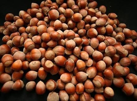 Fındık İhracatında Büyük Başarı: 388 Milyon Dolar Gelir Elde Edildi