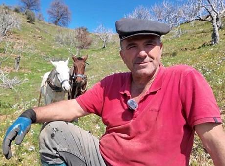 Germencik'te İncir Bahçeleri İçin İş Gücü Sorunu: '20 Yılda Bu İş Kaybolabilir'