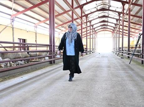 Memleketine Dönerek Hayvancılık Yapan Kadın Girişimci: 'En Güzel Şey Çalışmak'