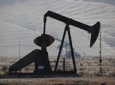 OPEC'in Günlük Petrol Üretimi 164 Bin Varil Artış Gösterdi