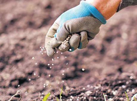 Gübre Fiyatları Savaşın Gölgesinde Yükseliyor: Tarım Sektöründe Baskılar Artıyor
