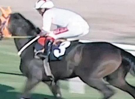 Tüketicinin Et Ürünlerinde Sahtecilikle Mücadelesi: At Eti Skandalı