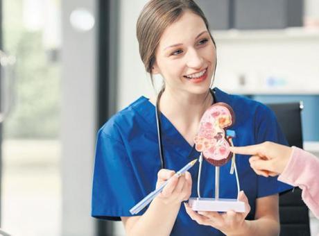 Türkiye’de Her 7 Yetişkinden Biri Kronik Böbrek Hastası