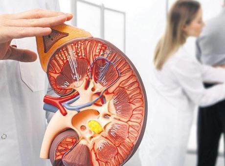 Böbrek Sağlığını Korumanın 8 Altın Kuralı