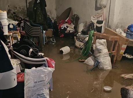 Mardin'de Şiddetli Yağışlar Sel Felaketine Yol Açtı: Yüzlerce Hayvan Telef Oldu