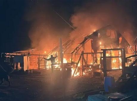 Bursa'da Yangın Felaketi: 580 Hayvan Hayatını Kaybetti