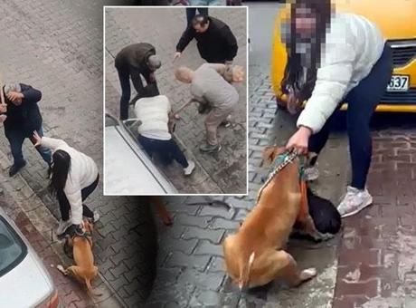 Pitbull Saldırısının Ardından Gerilim Anları! Köpek Sahibi Müdahaleleri Engelledi