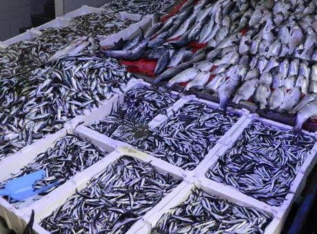 Ramazan ve Bayram Döneminde Balık Satışlarındaki Düşüş