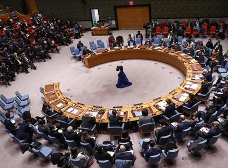 BMGK Üyesi 8 Ülke, Filistin'deki İlhak ve Zorla Yerinden Edilmelerin Karşısında