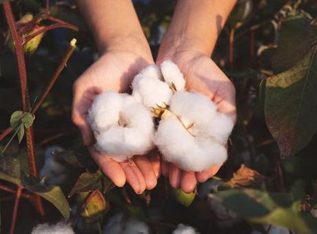 Türkiye, Küresel Tedarik Zincirinin Stratejik Merkezi Olma Yolunda