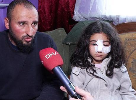 İstanbul'da Sokak Köpekleri Tehlikesi: Çocukları Tek Başına Dışarı Çıkarmak Artık Mümkün Değil