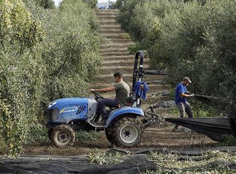 İspanya, Tarım ve Hayvancılığı Desteklemek İçin 877 Milyon Euro Ayırdı