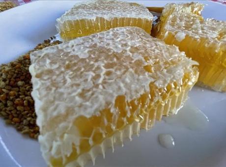 Yenice Ihlamur Balı AB Tescili İle Markalaşma Yolunda Önemli Adımlar Atıyor