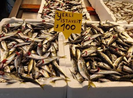 Balık Tezgahları Av Yasağına Sayılı Günler Kala Şenlikli