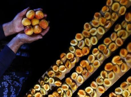 Malatya'nın Kuru Kayısı İhracatı 66 Milyon Doları Aştı